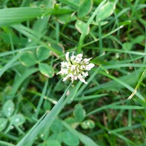 Meet your Posher, Moe